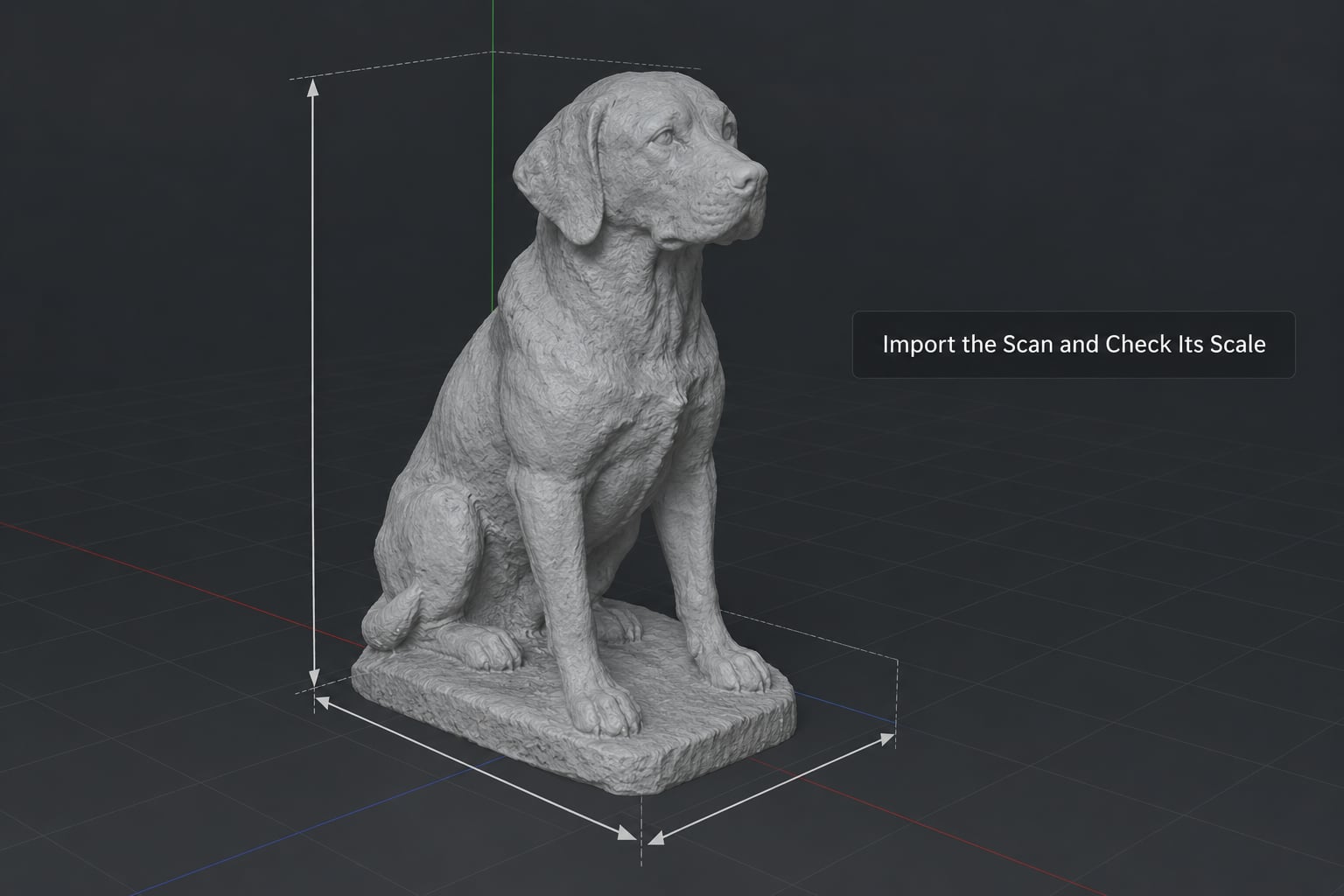 Import the Scan and Check Its Scale